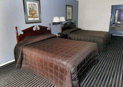 Loyalty Inn Gainesville Bilik gambar